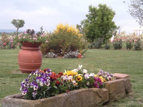Agriturismo I Romiti Castiglione del Lago Extérieur photo