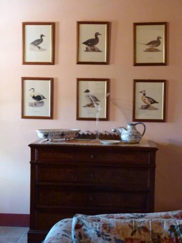 Agriturismo I Romiti Castiglione del Lago Extérieur photo