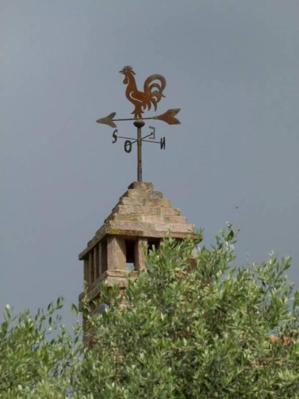 Agriturismo I Romiti Castiglione del Lago Extérieur photo