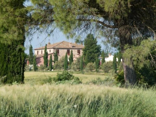 Agriturismo I Romiti Castiglione del Lago Extérieur photo