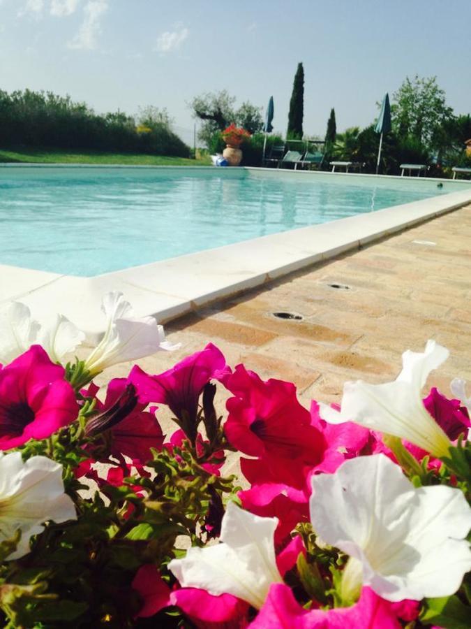 Agriturismo I Romiti Castiglione del Lago Extérieur photo